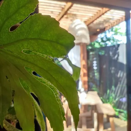 Отель для свиданий Kanopya Лакано